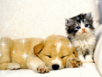 576478.gif