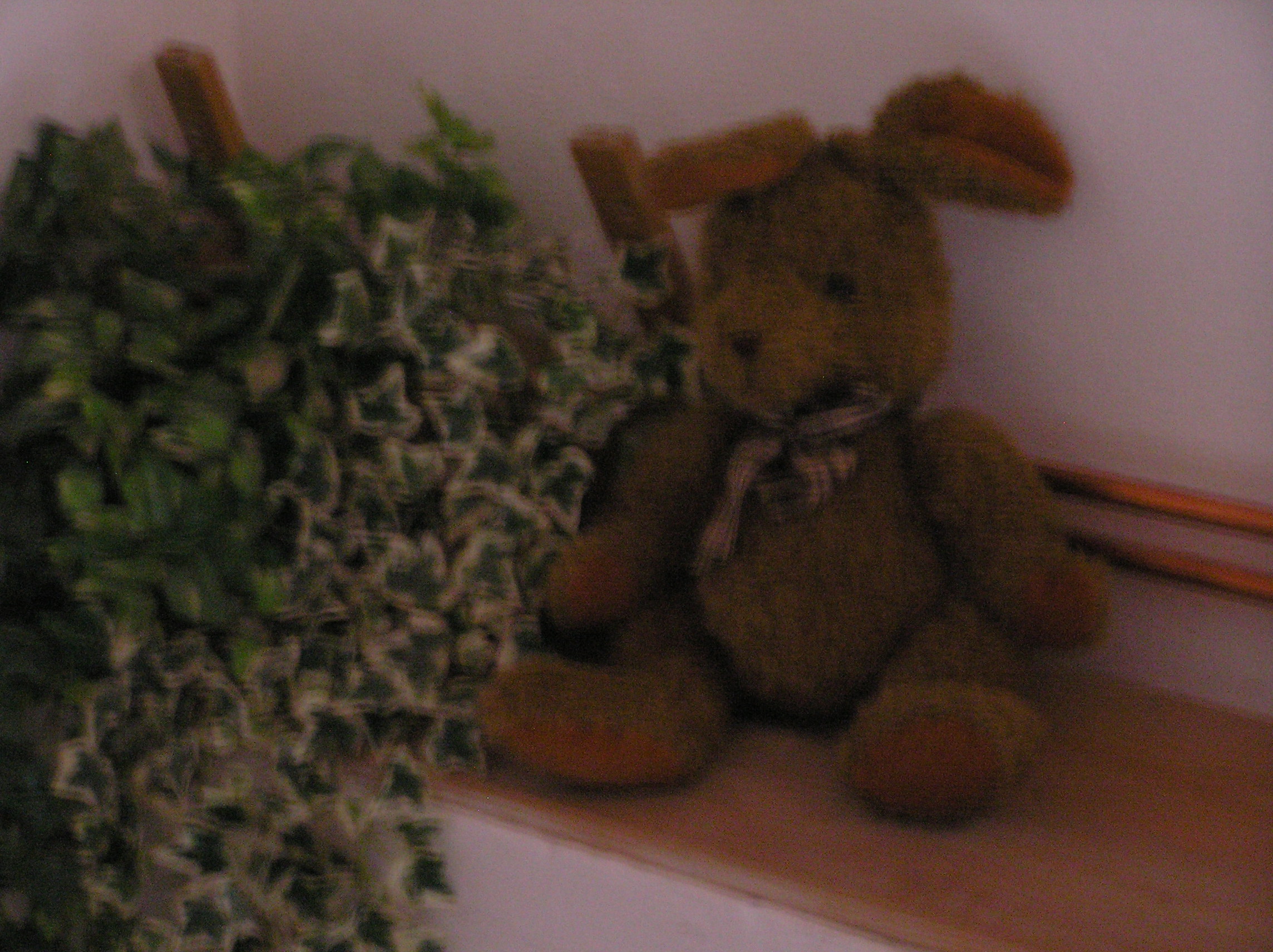 P3050200.JPG
