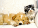 576478.gif